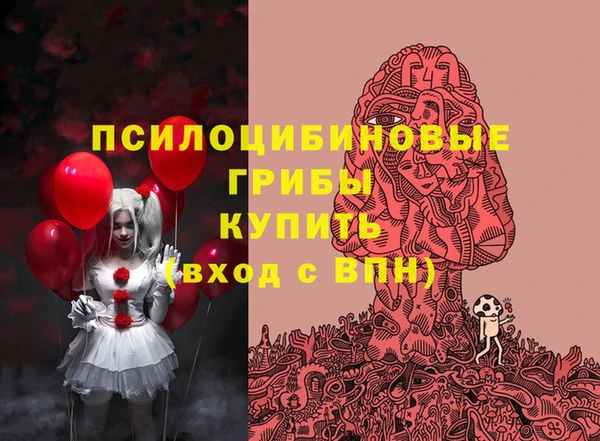 дурь Сатка