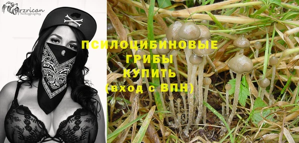 стафф Алзамай