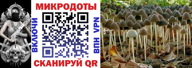 цена   Бронницы  Галлюциногенные грибы Cubensis 